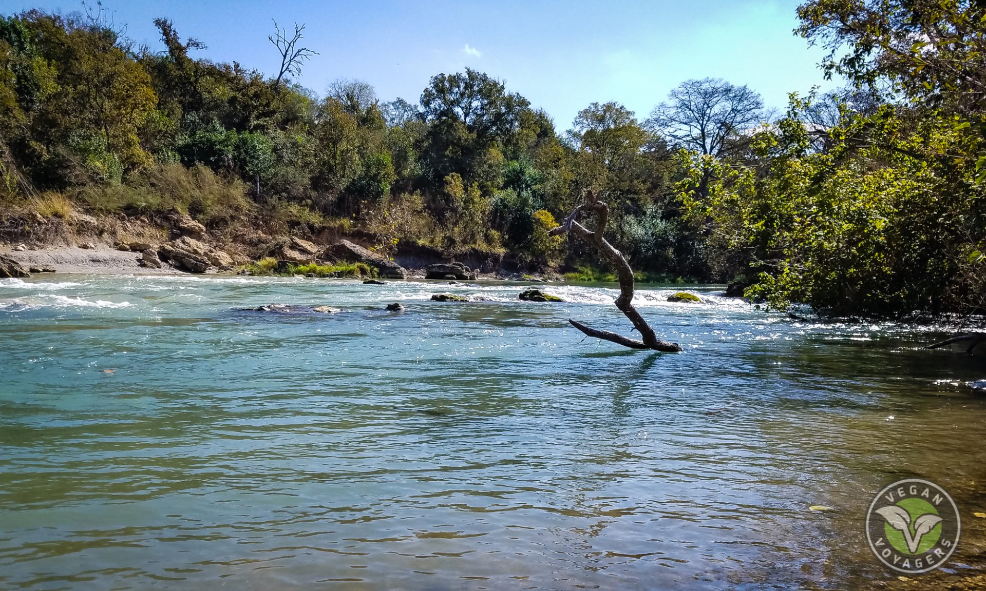 San Marcos River
