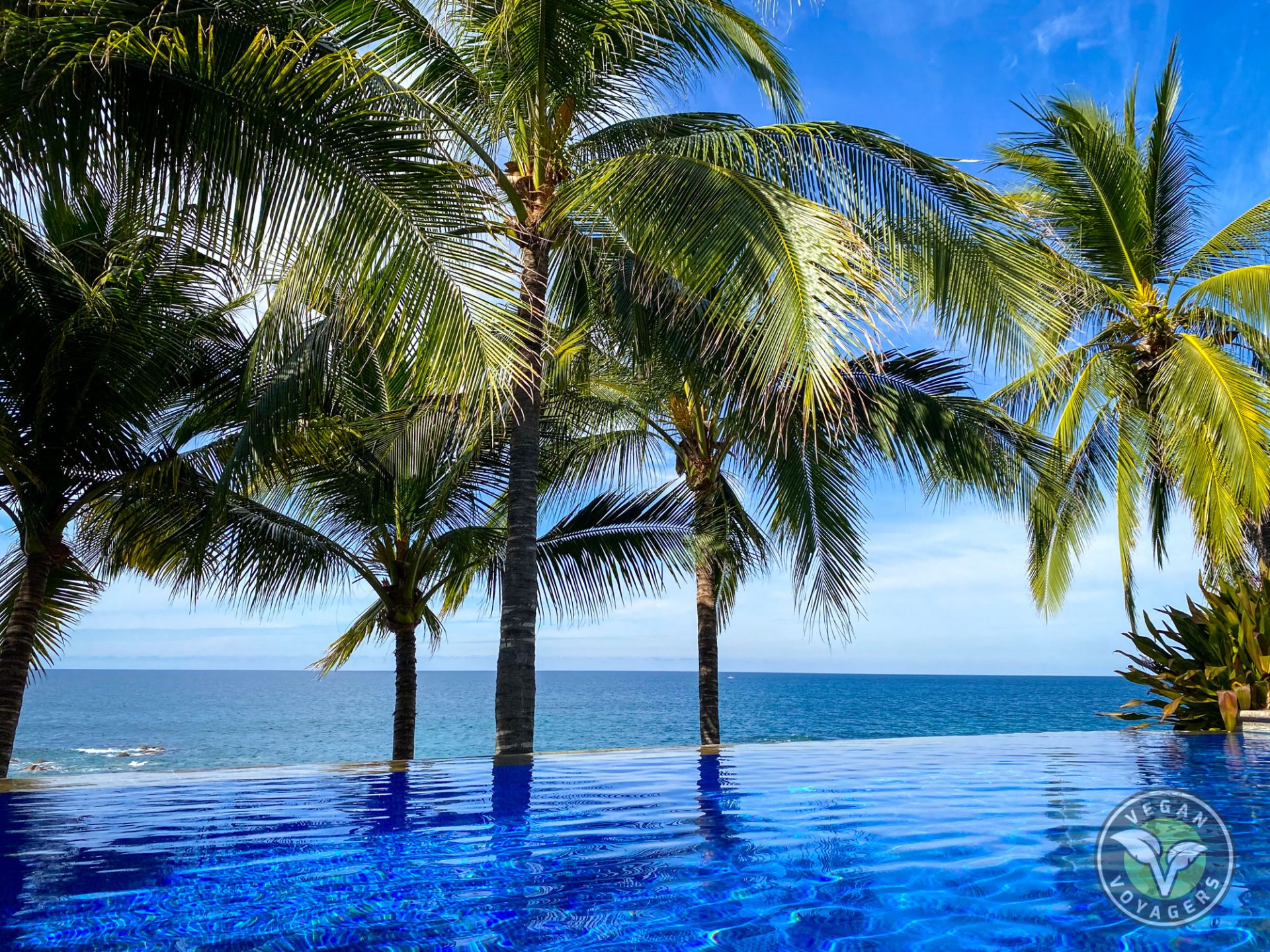 The Pool at Playa Escondida
