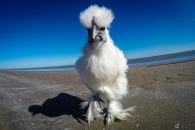 DCIM100GOPROGOPR0382. DCIM100GOPROGOPR0382.
